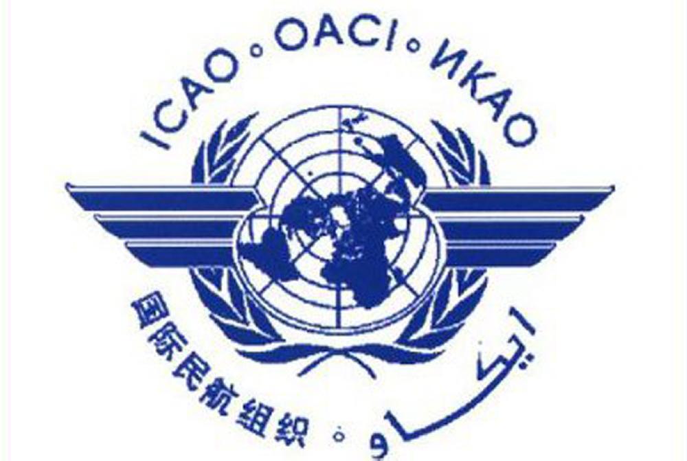 ICAO accepts Arab quartet’s working paper in extraordinary session
