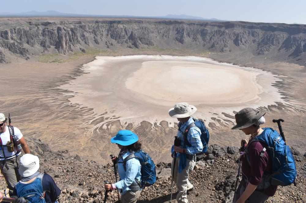 A dip into the desert