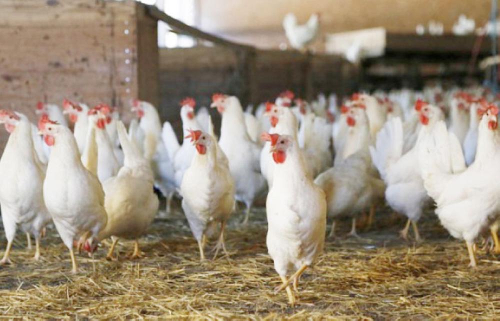 Ministry takes precautionary measures against bird flu