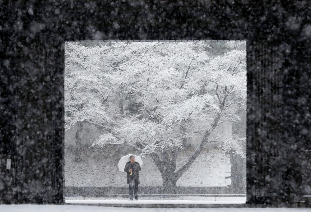 A man holding an umbrella makes his way in the heavy snow at the Imperial Palace in Tokyo, Monday. — Reuters