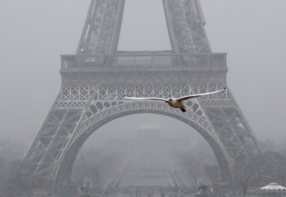 A seagull flies as snow falls near the Eiffel Tower in Paris, as winter weather with snow and freezing temperatures arrive in France, February, on Tuesday. — Reuters