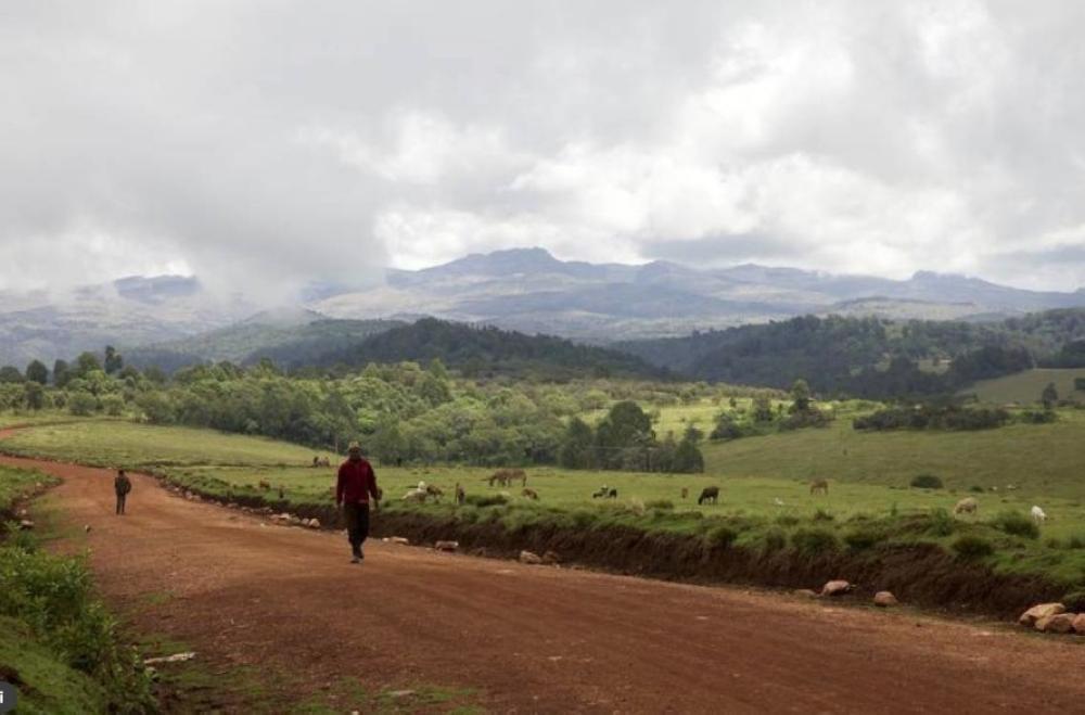 Men walk along the road in Mount Elgon game reserve in western Kenya, in this file photo. — Reuters