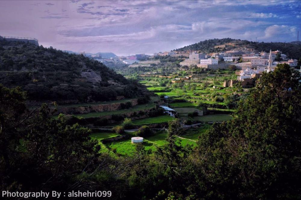 Colors of Al-Namas