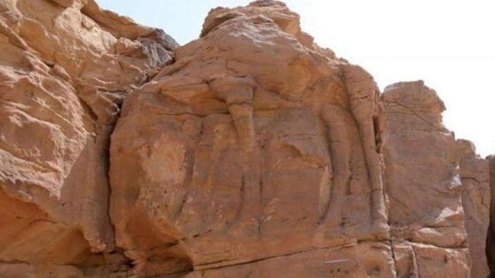 Saudi–French archeologists found life-sized engravings of camels on the desert rocks of Al-Jouf.  — Courtesy photo
