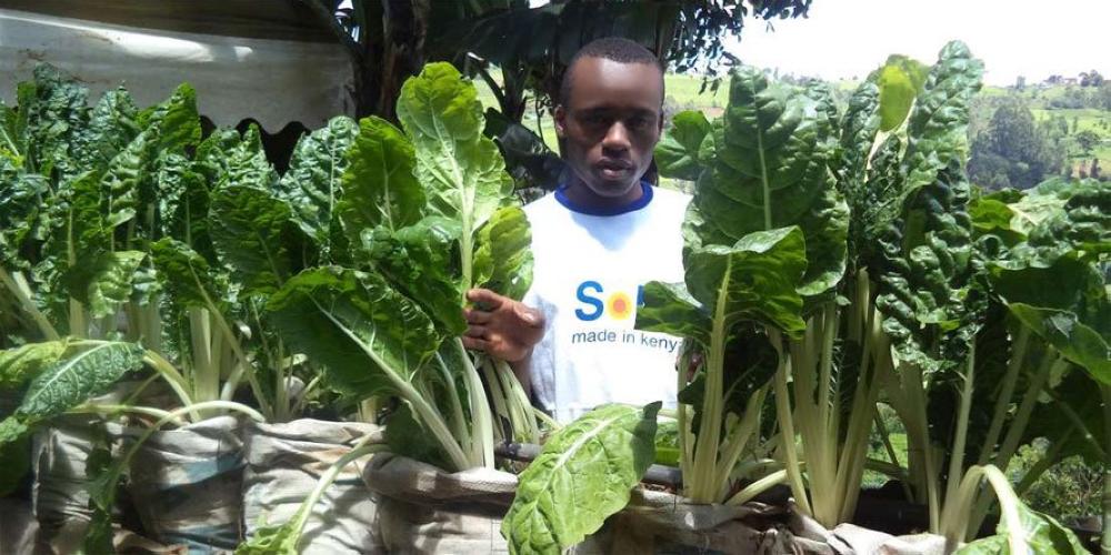 The Uwezo fund, for example, provides youth with grants and interest-free loans of up to 500,000 shillings (about $5,000) to set up their own business. But more investment is needed to make farming attractive to a wider range of young people.