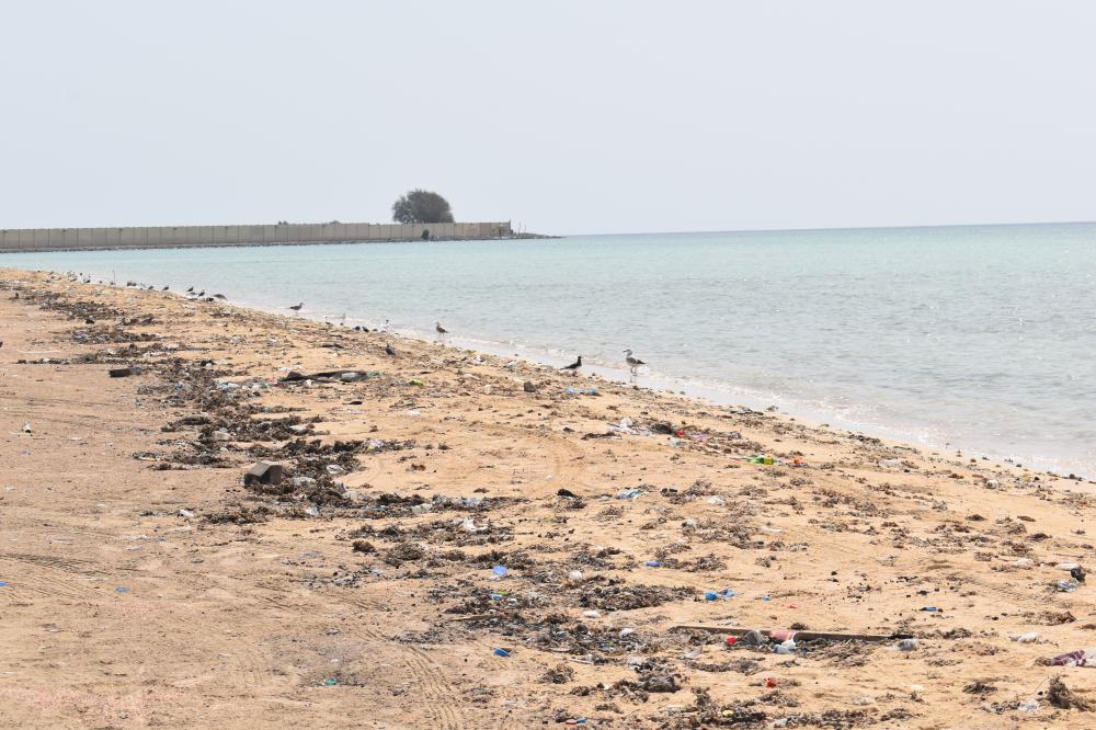 Elementary pupils lend a hand to clean up Salman beach