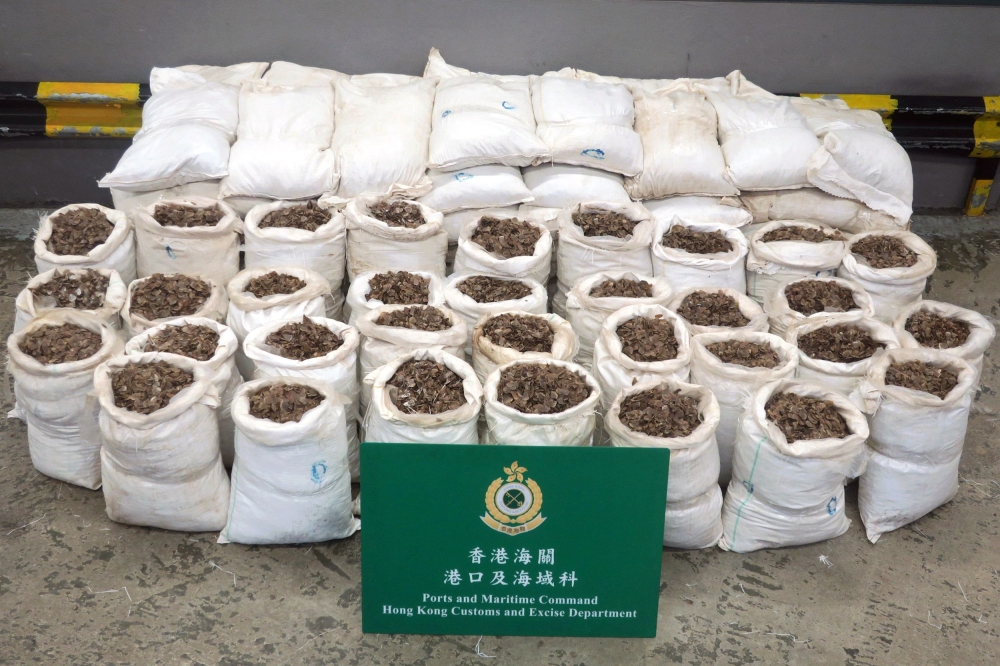 A seizure of about 1,800 kilograms of suspected pangolin scales from a container, with an estimated market value of about 350,000 USD, is seen at the Kwai Chung Customhouse Cargo Examination Compound in Hong Kong in this Jan. 5, 2018 file photo. — AFP