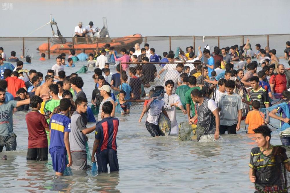 Fishing festival lures
tourists to Farasan