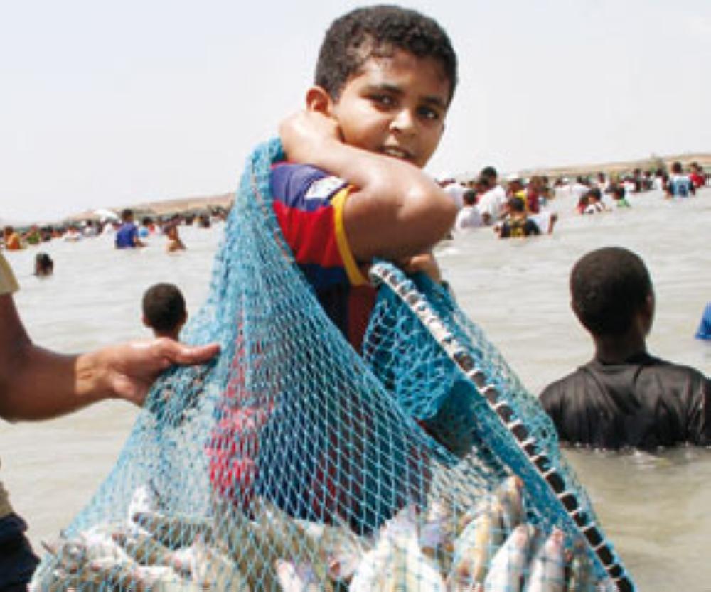 Fishing festival lures
tourists to Farasan