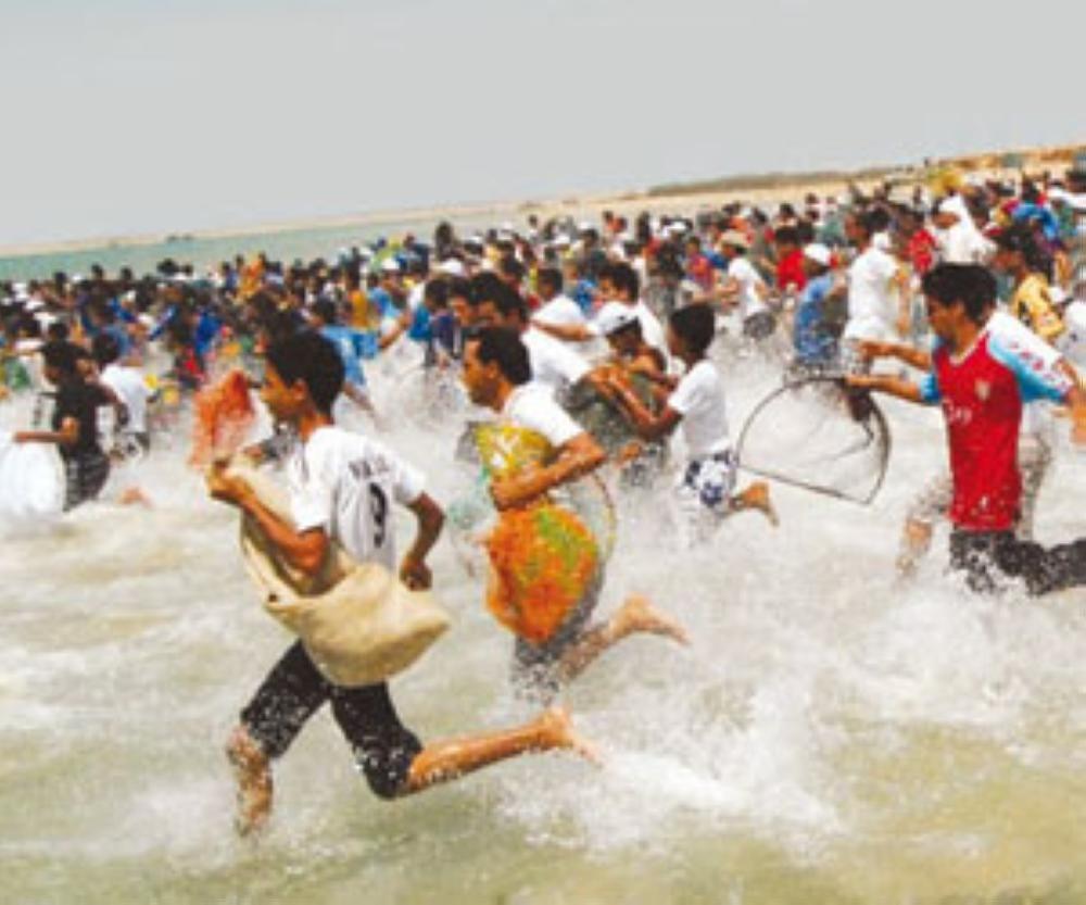 Fishing festival lures
tourists to Farasan
