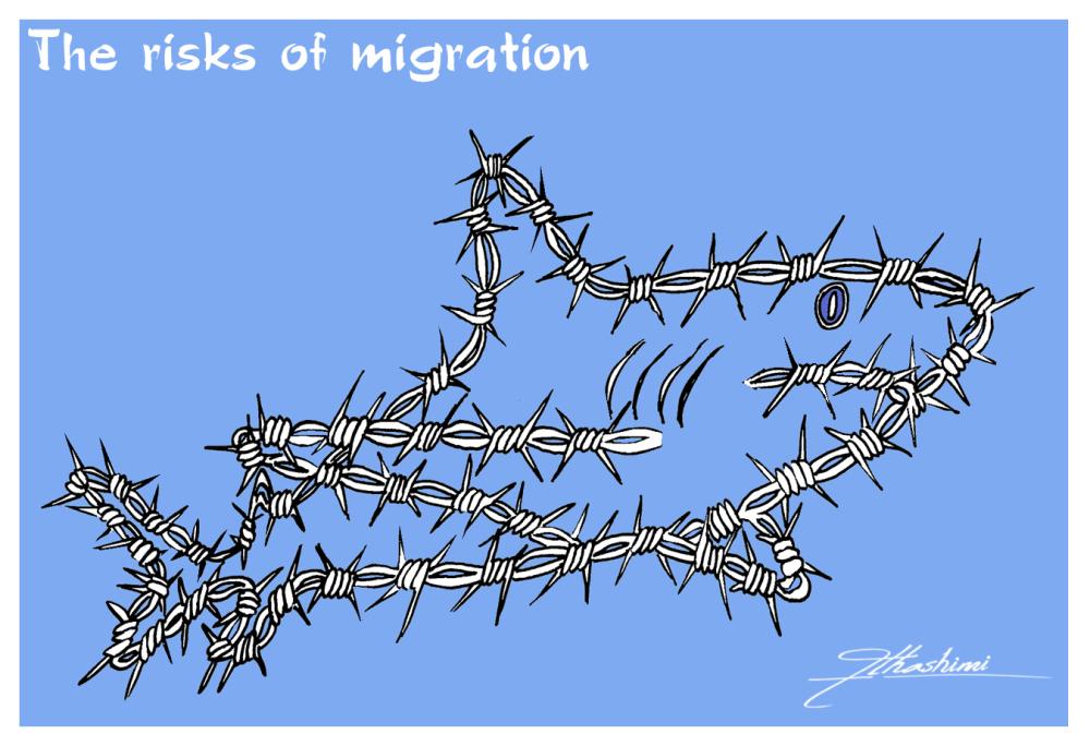 Migration