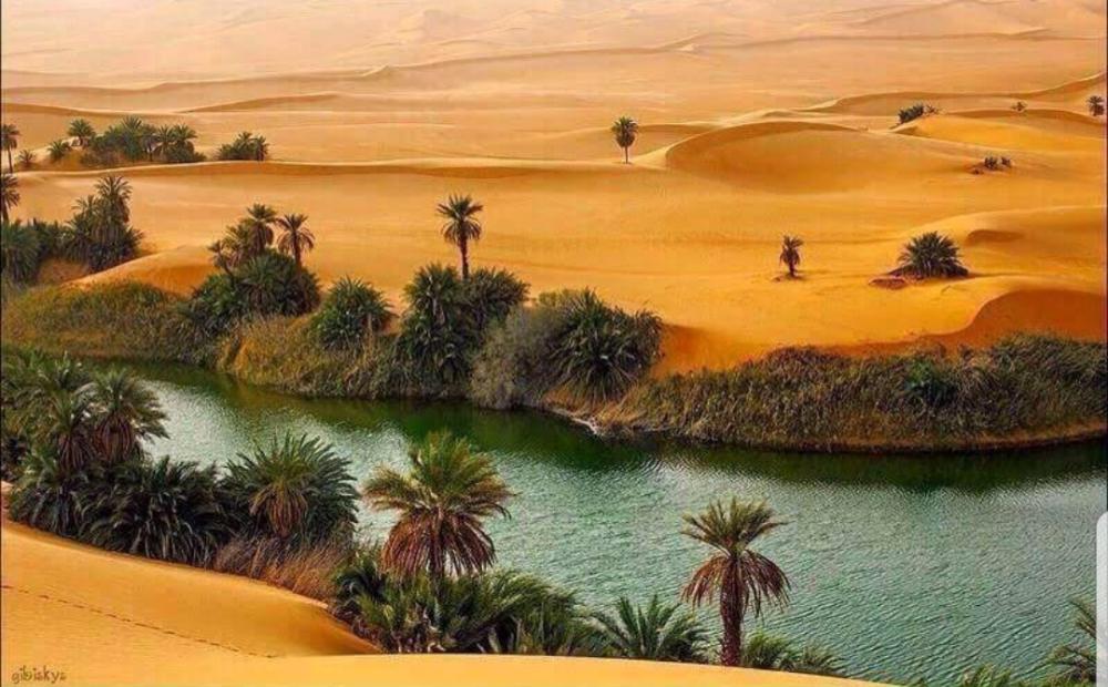 Many secrets buried under 
the sands of Rub Al-Khali