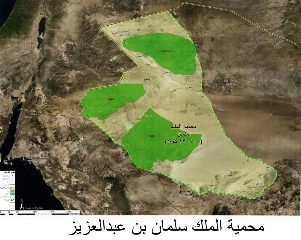 King Salman Bin Abdulaziz Reserve