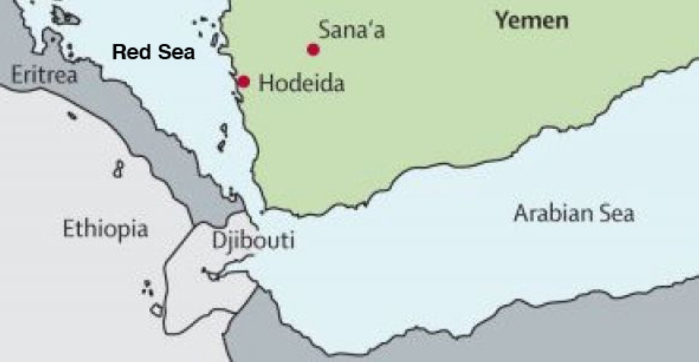 The Yemeni forces are also making rapid field progress toward Hodeida airport and strategic port.