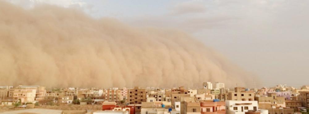Be careful in the Sandstorm!