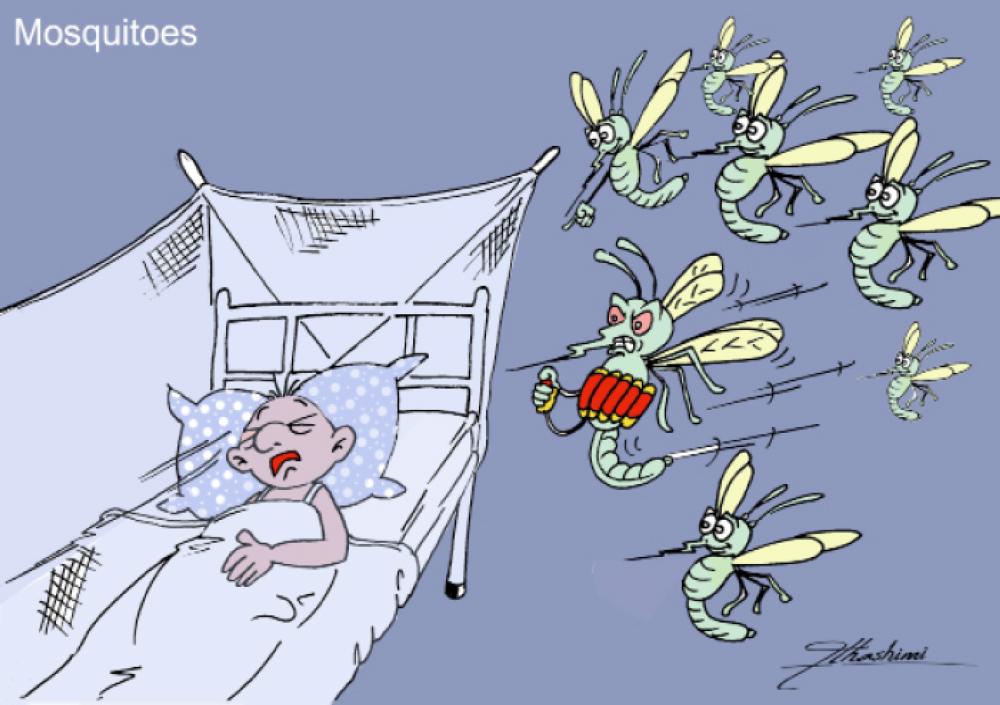 Mosquitoes