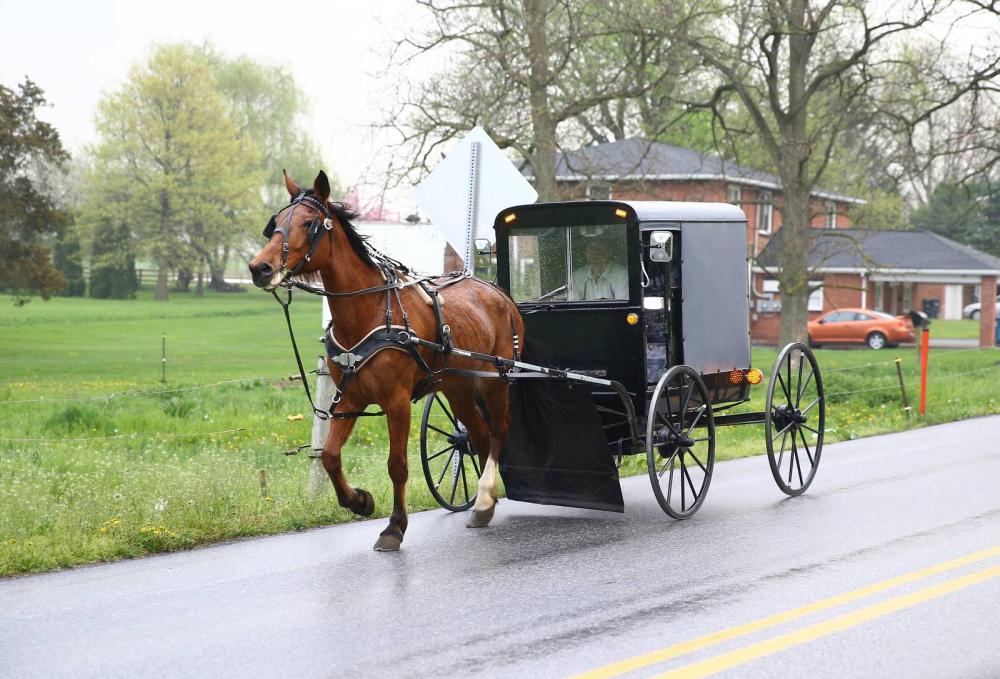 An Amish horse and a buggy are seen on the road in Central Pennsylvania in this April 30, 2017 file photo. - AP