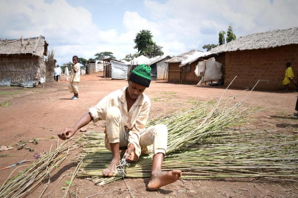 Innovative Cameroon project will benefit refugees and hosts