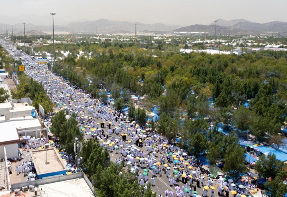 Nearly 2.4 million pilgrims ascend Arafat for peak of Haj