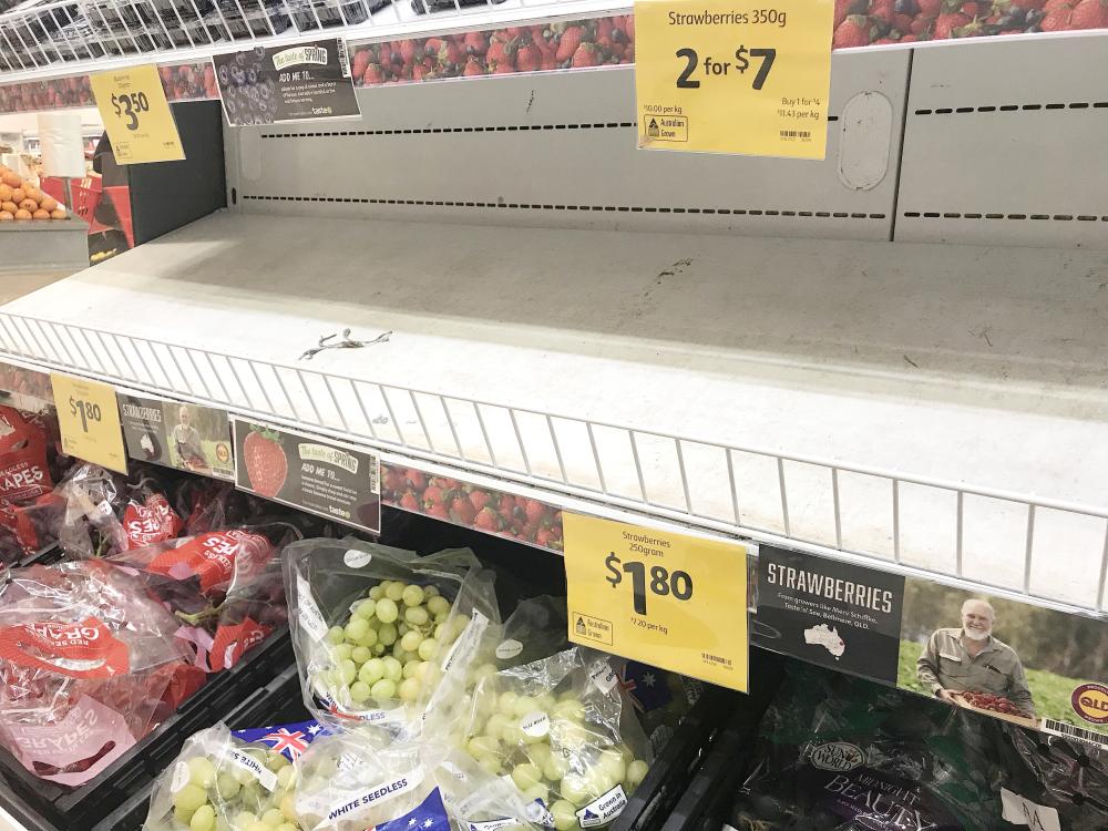 


Empty shelves, normally stocked with strawberry punnets, are seen at a Coles Supermarket in Brisbane, Australia, in this Sept. 14, 2018 file photo. — Reuters