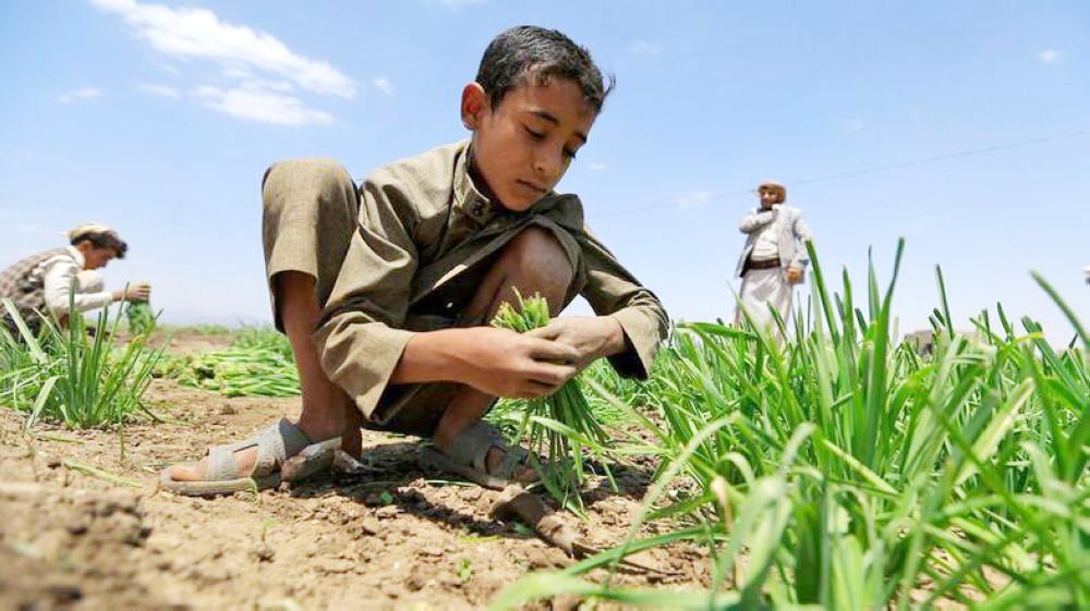 


The UN warns of famine-like conditions in Yemen, including cases where people are eating leaves. — Courtesy photos