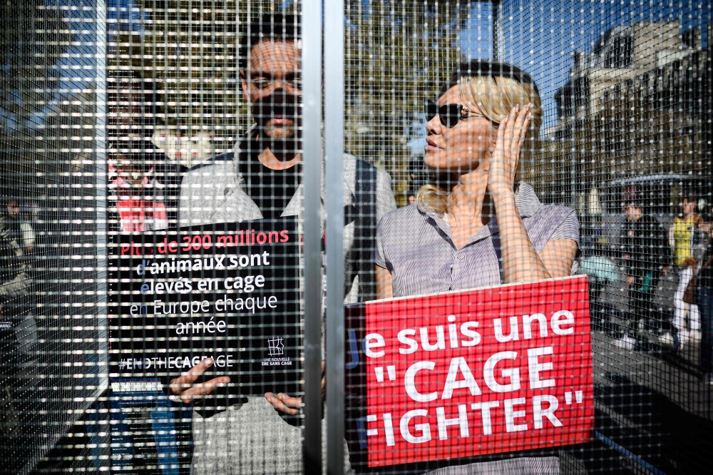 US-Canadian actress Pamela Anderson, right, and her dancing partner Maxime Dereymez stand in a cage displaying placards against the caging of animals during an event organized by the NGO Compassion in World Farming (CIWF) in Paris on Wednesday. — AFP