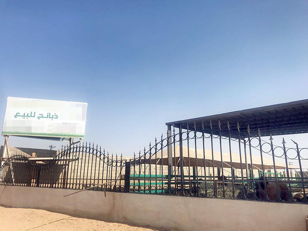 


Unlicensed slaughterhouses are springing up in Al-Rass causing great annoyance to the people. The photo shows a slaughterhouse inside a private enclosure in the city.