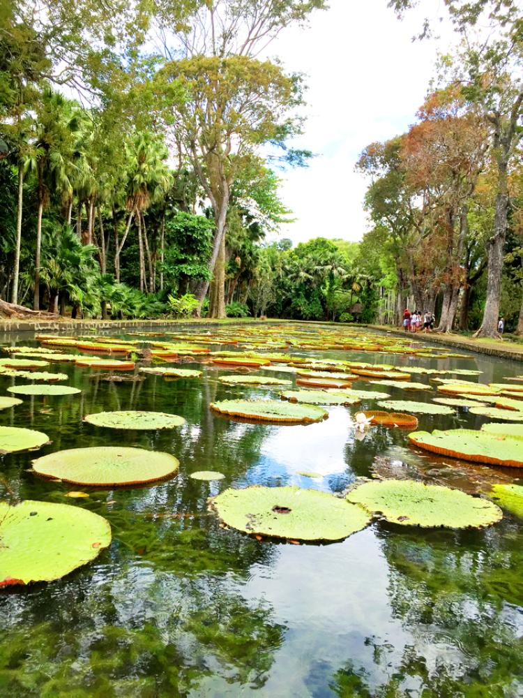 Marvelous Mauritius