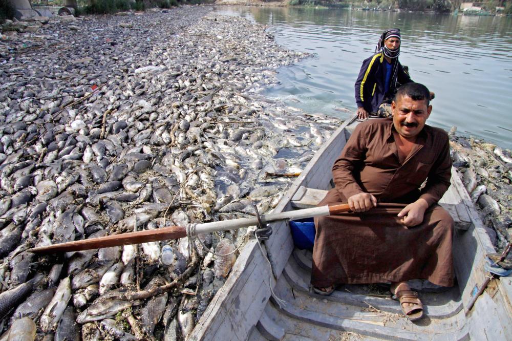 


An Iraqi man stirs his boat around dead fish, from nearby farms, floating on the Euphrates river near the town of Sadat Al Hindiya, north of the central Iraqi city of Hilla, Friday. — AFP