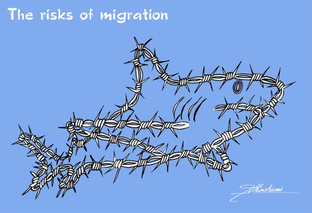 The risks of migration