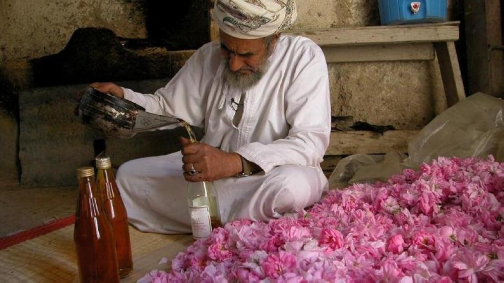 


An Omani farmer working at his traditional rose distillation unit. — Courtesy photos
