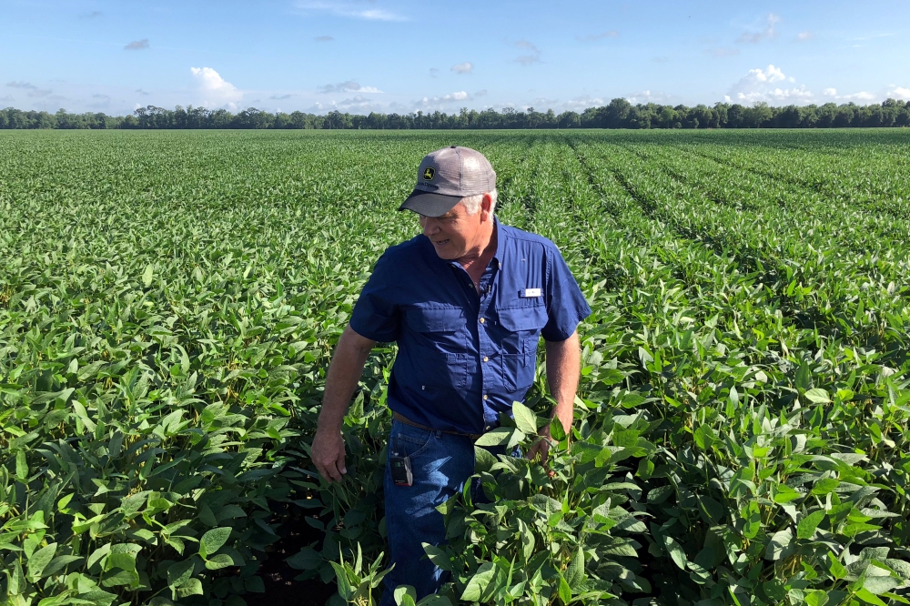 Soybean farmer Raymond Schexnayder Jr. overlooks his farm outside Baton Rouge, in Erwinville, Louisiana, US, in this file photo. — Reuters