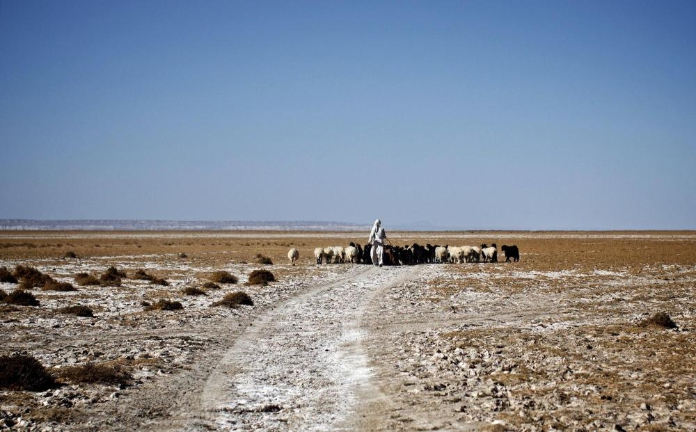 An Iranian shepherd walks his herd in the middle of Hamoon wetland near the Zabol town. — AFP