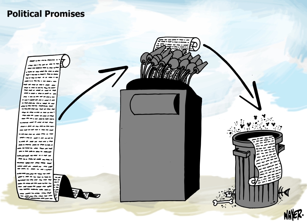 Political promises