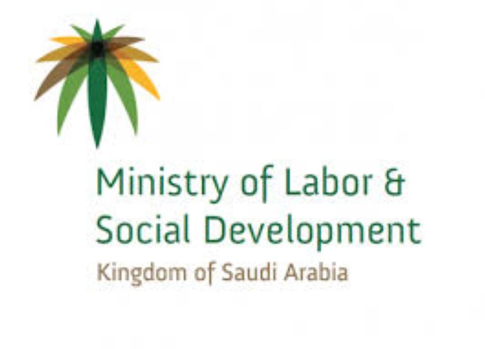 New work visas for two years without additional fees