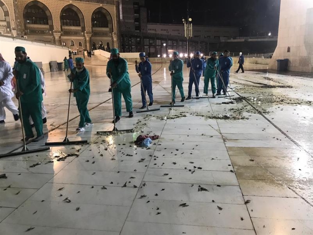 


Swarms of black grasshoppers have been appearing inside the Grand Mosque and its plazas over the past couple of days.
