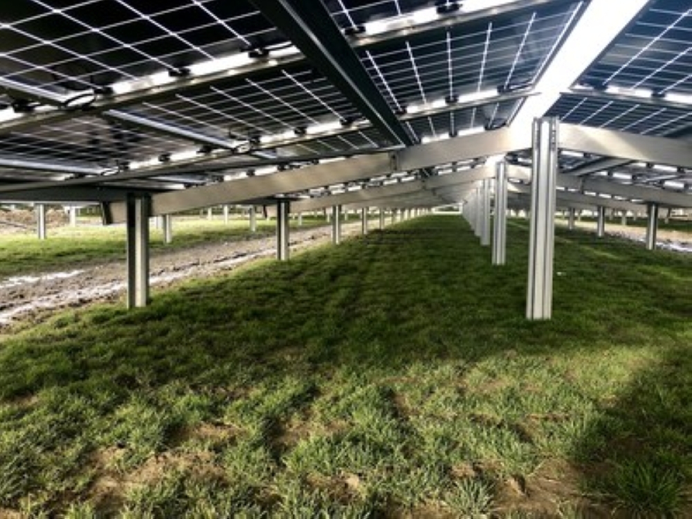 


Rear side of Jolywood N-type bifacial modules installed in Zonnepark Rilland