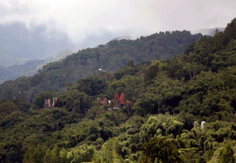 Traditional Toraja houses are seen in a forest near Rantepao, North Toraja, South Sulawesi, Indonesia. — Reuters