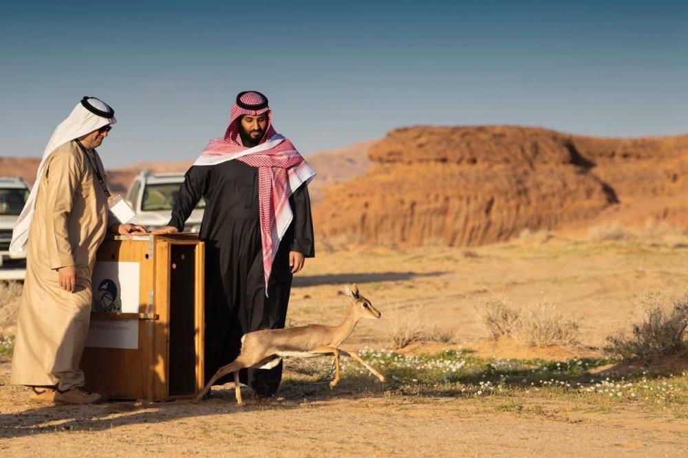 Crown Prince launches Sharaan Nature Reserve in AlUla governorate