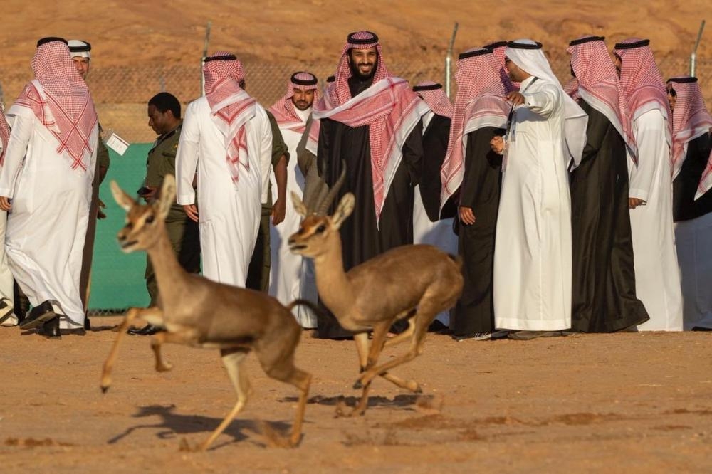 Crown Prince launches Sharaan Nature Reserve in AlUla governorate
