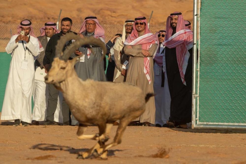 Crown Prince launches Sharaan Nature Reserve in AlUla governorate