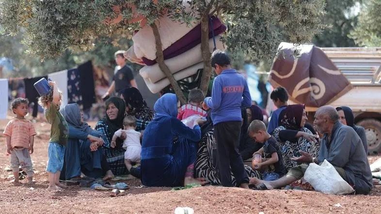 A displaced Syrian baby sleeps in a bed covered with a mosquito net in an olive grove at Atmeh town, Idlib province.