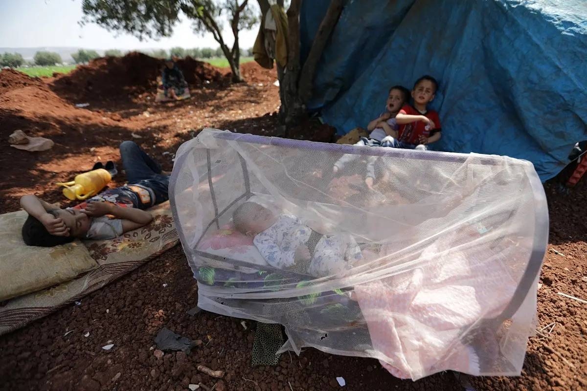 A displaced Syrian baby sleeps in a bed covered with a mosquito net in an olive grove at Atmeh town, Idlib province.