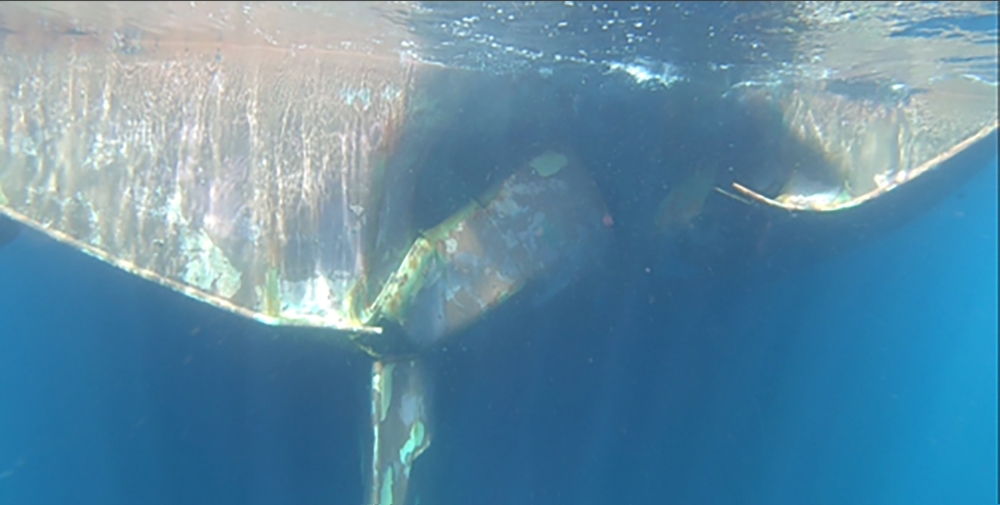 An undated photograph provided Thursday by the United Arab Emirates mission to the United Nations shows underwater damage to the Saudi Arabian tanker Al Marzoqah in the Port of Fujairah. — Reuters