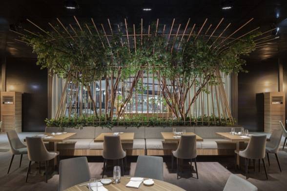 Nobu Jeddah 