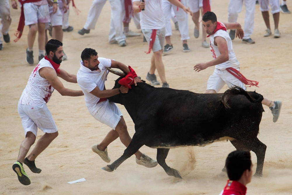 A reveller is tossed by a heifer bull during the first bullrun of the San Fermin festival in Pamplona, northern Spain, Sunday. — AFP 
