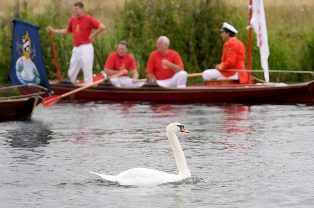 David Barber, The Queen's Swan Marker, holds a cygnet as officials record and examine cygnets and swans during the annual census of the Queen's swans, known as 'Swan Upping', along the River Thames in London, Britain, on Monday. — Reuters