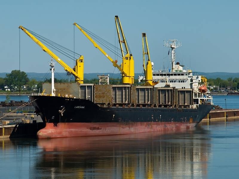 File photo of Iranian ship Saviz. 