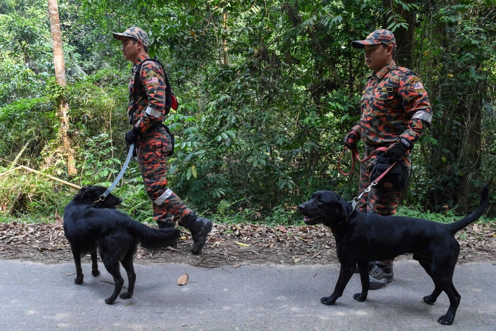 Members of Malaysian K-9 unit take part in a search and rescue operation for the missing 15-year-old Franco-Irish, Nora Quoirin in Seremban, Malaysia, on Wednesday. — AFP