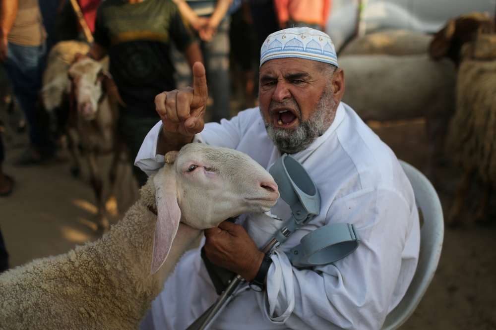 A Palestinian man gestures as he displays a sheep for sale at a livestock market ahead of the Eid Al-Adha festival, in the central Gaza Strip on August 5. -Reuters
